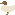 (white duck)