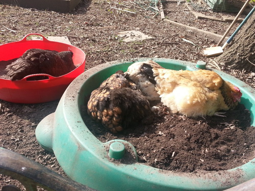 20140314_122351.jpg