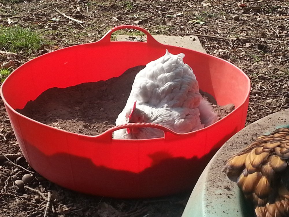 20140314_122508_1.jpg