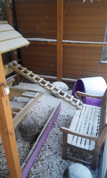 IMG-20180301-WA0022.thumb.jpeg.b4ddf94cbcf1f59efdc0df3bd7769e00.jpeg