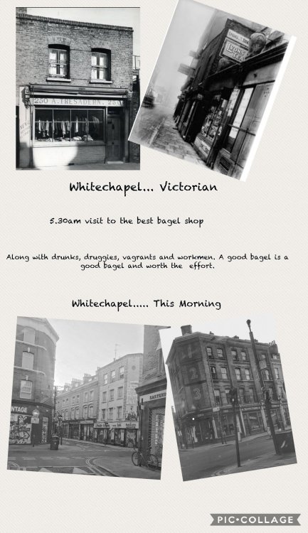 Collage 2018-07-24 09_46_07.jpg