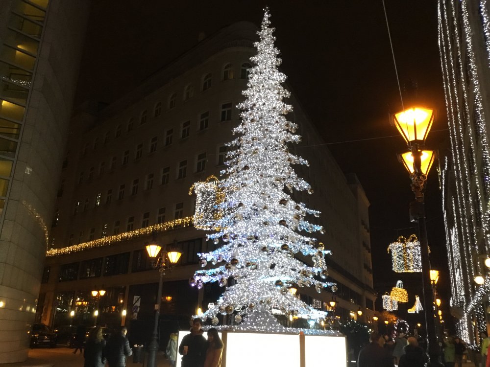 5C106BA4-D25F-43BB-B8EB-56481F0EA472.jpeg