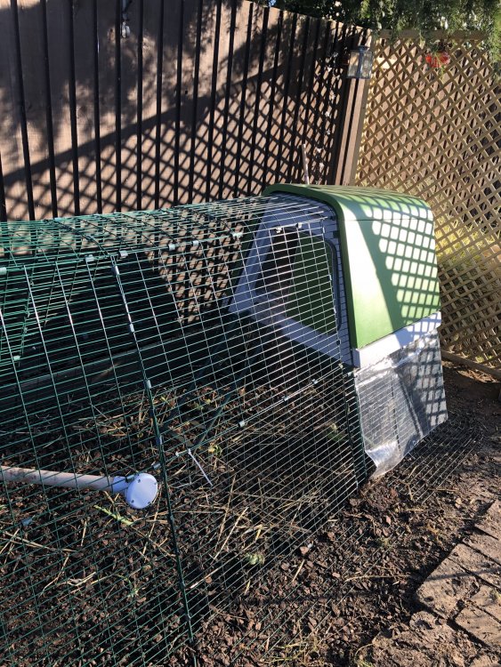 49750ED0-FBCF-4D2A-88D7-4E611737ADE3.jpeg