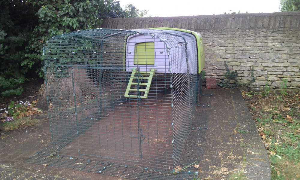 2018-09-16 18.45.32.jpg