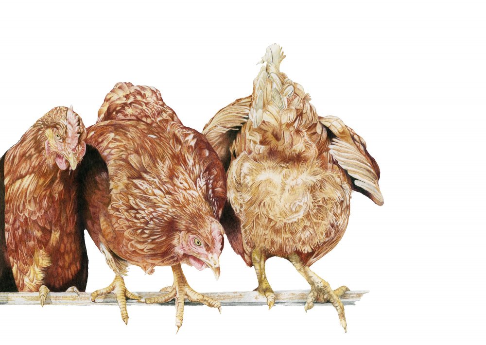 FEBRUARY - Who Said That copy.jpg