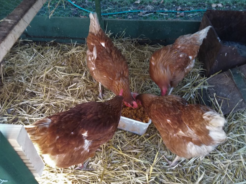 20200119_114345 - Copy (2).jpg