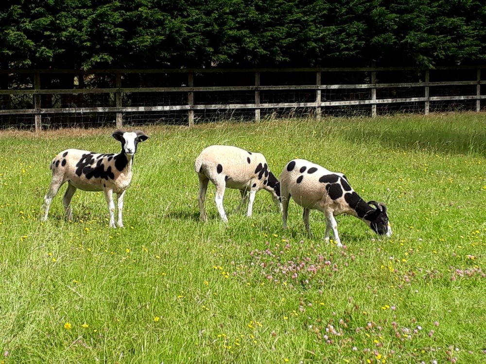 Jacobs day 2 small 3.jpg