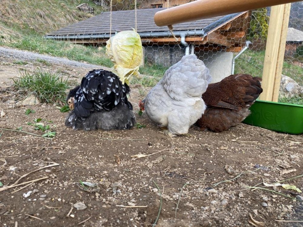 WhatsApp Image 2021-04-20 at 15.48.43.jpeg