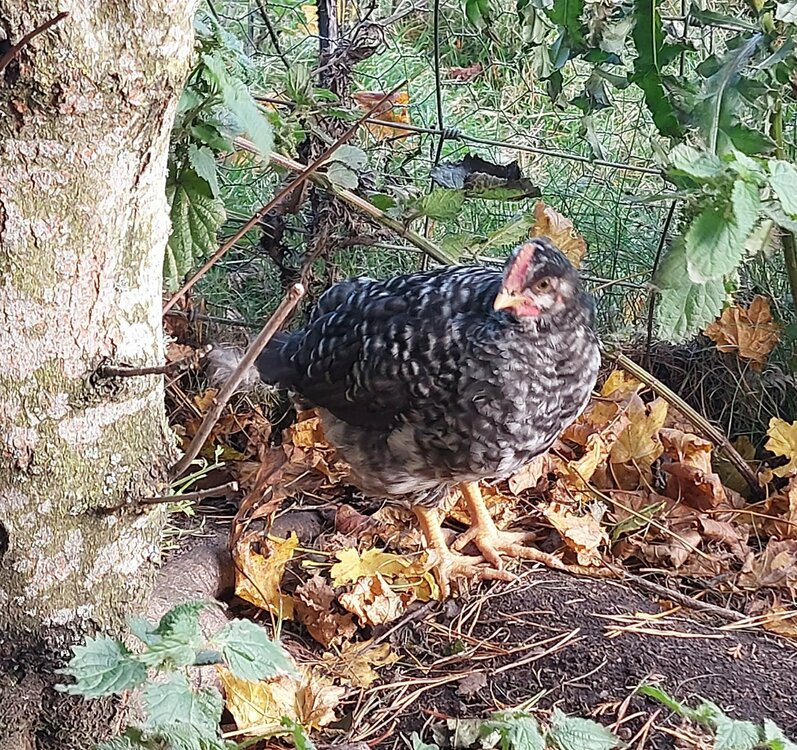 20221016_153946.jpg