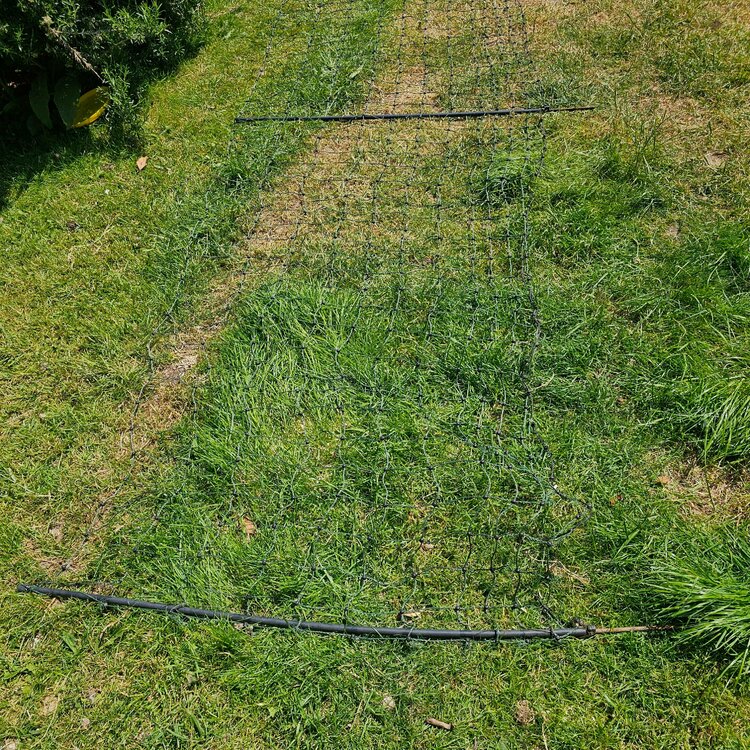 20230608_114613.jpg