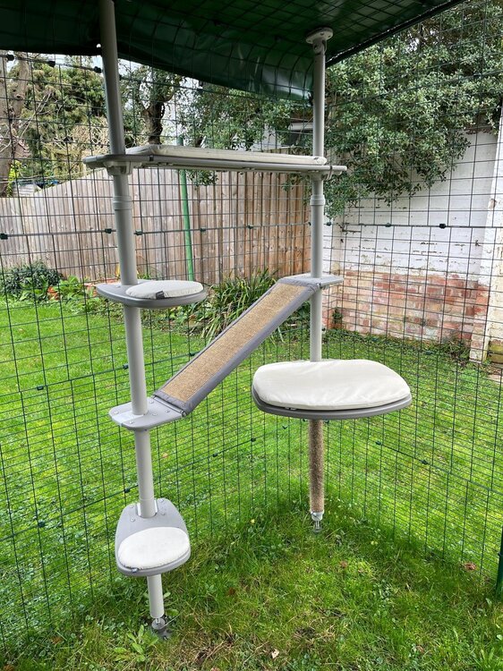 Catio5.thumb.jpeg.895445da42fd4f3766880069da4c720f.jpeg